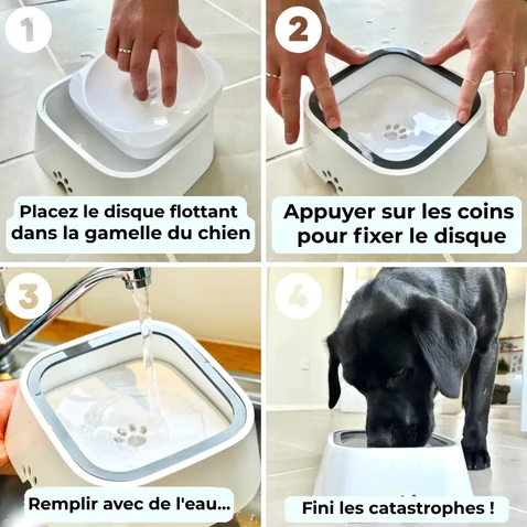 Gamelle d'eau magique anti-éclaboussure