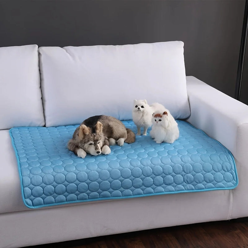 Tapis Rafraîchissant pour Animaux