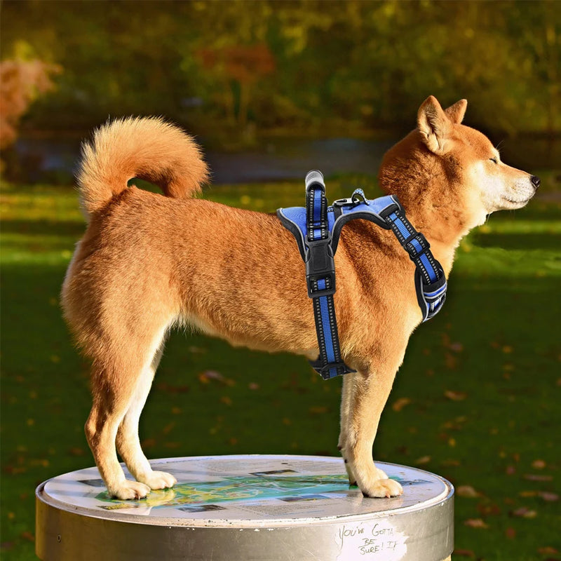 Harnais pour chiens réfléchissant et respirant avec poignée