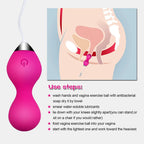 TRIO KEGEL - Kit de boules de Geisha & Vibro