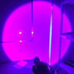 Torche led UV pour la détection de punaises de lit