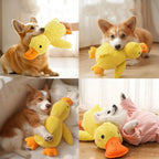 Ducky - Jouet Canard en Peluche pour Chiens Résistant à la Mastication