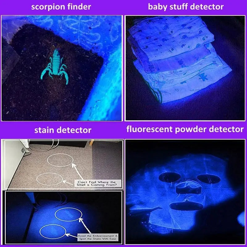 Torche led UV pour la détection de punaises de lit
