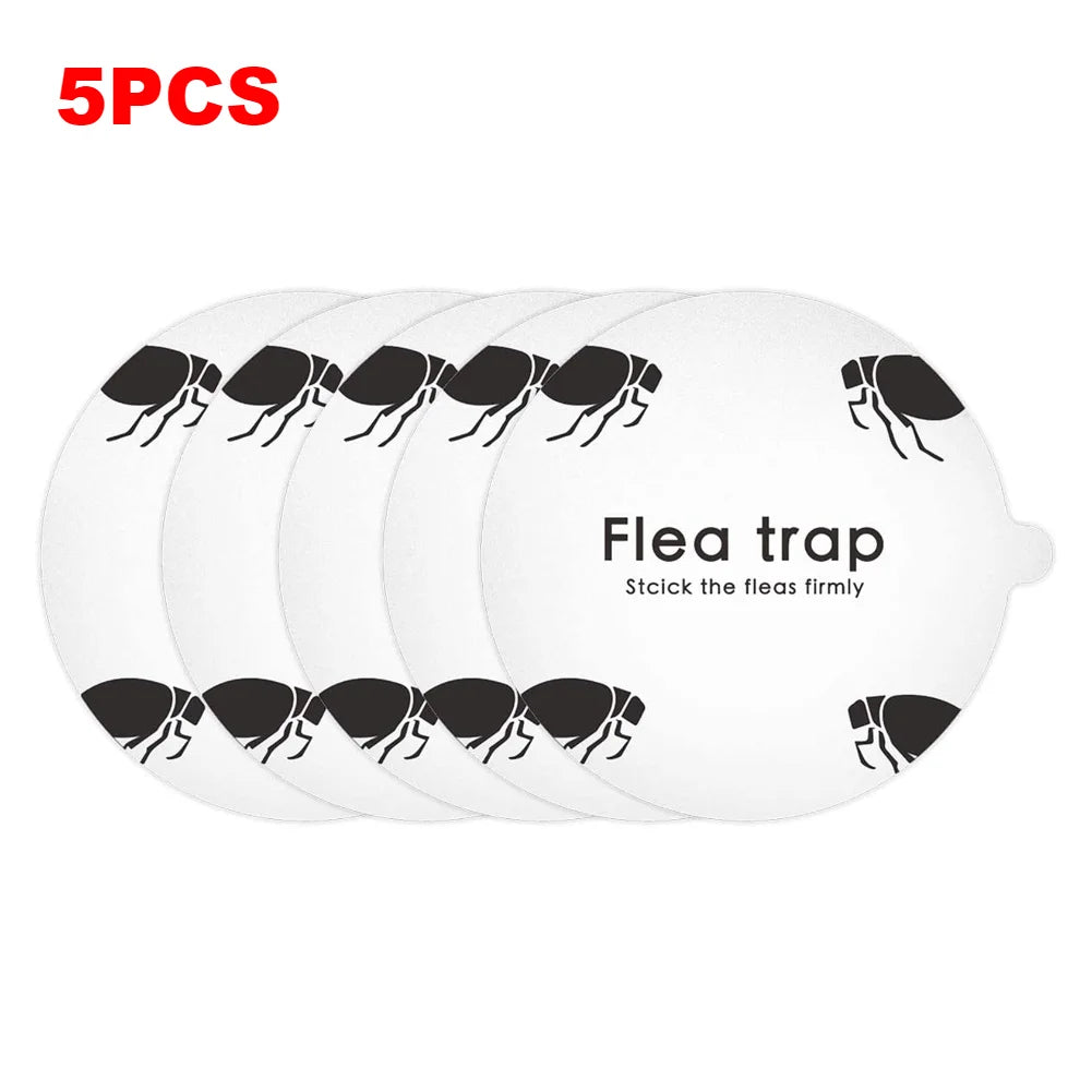 Piège à Insecte Électrique LED + 2 Pads Adhésifs OFFERTS - Moustiques, Puces, Punaises...