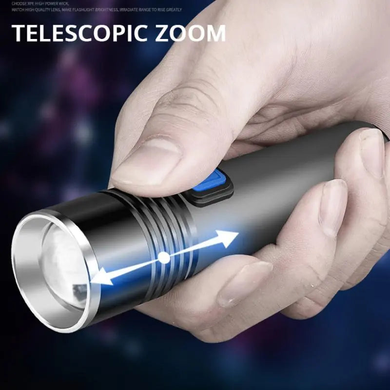 Torche led UV pour la détection de punaises de lit