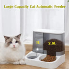 Distributeur automatique d'eau et de croquettes 2 en 1 pour animaux