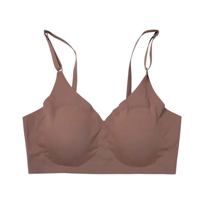 47211066818898|47211066851666|47211066884434|47211066917202