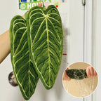 Leafy - Serviette à Main en Microfibre Absorbante en forme de Feuille