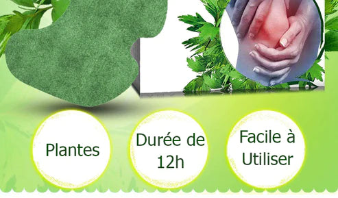 Lot de 12 Patchs genoux anti inflammatoires aux plantes
