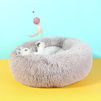 CozyCloud - Le panier nuage Confort+