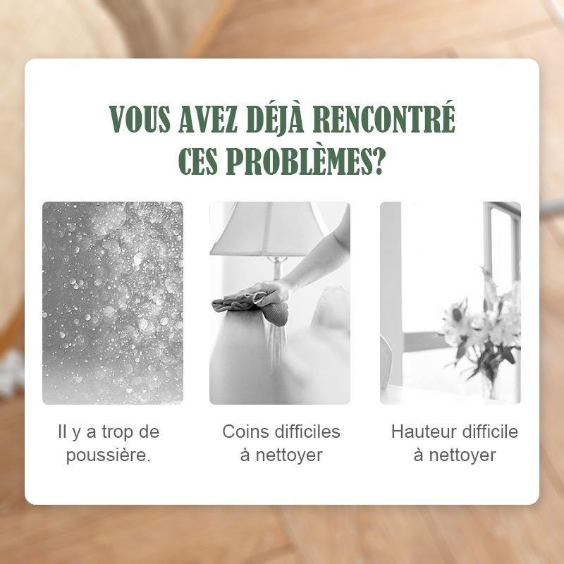 Brosse anti-poussière téléscopique 3 en 1