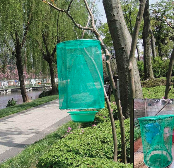 Piège à Mouches Réutilisable