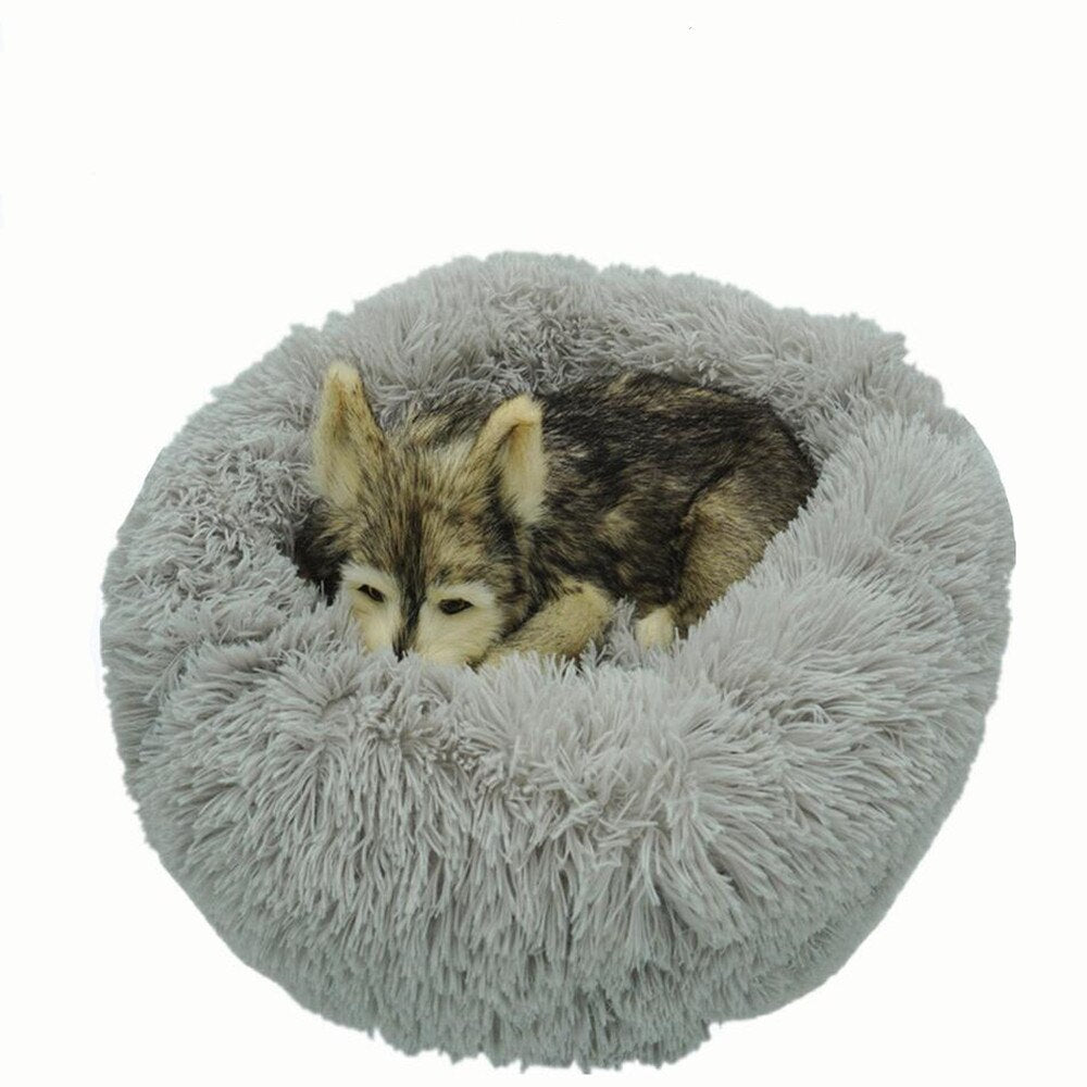 CozyCloud - Le panier nuage Confort+