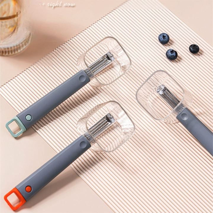 Lot de 2 Éplucheurs à une tête en acier inoxydable