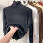 Pull Col roulé doublure polaire - DealValley