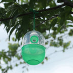 4x Pièges à insectes suspendu